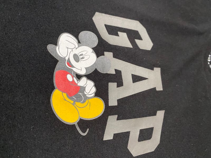inventory:TEE-253:IMG_2181.jpg