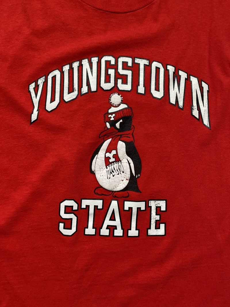 inventory:TEE-080:TEE-080_04.jpg